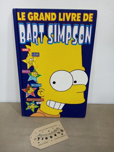 Le grand livre de Bart Simpson - PANiNi COMiCS