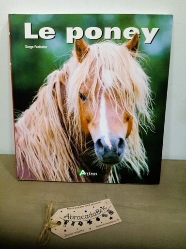 "Le poney" - ARTEMiS EDS