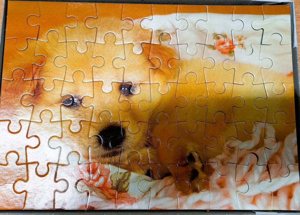 Puzzle "petit chiot" 50p - KiNG 