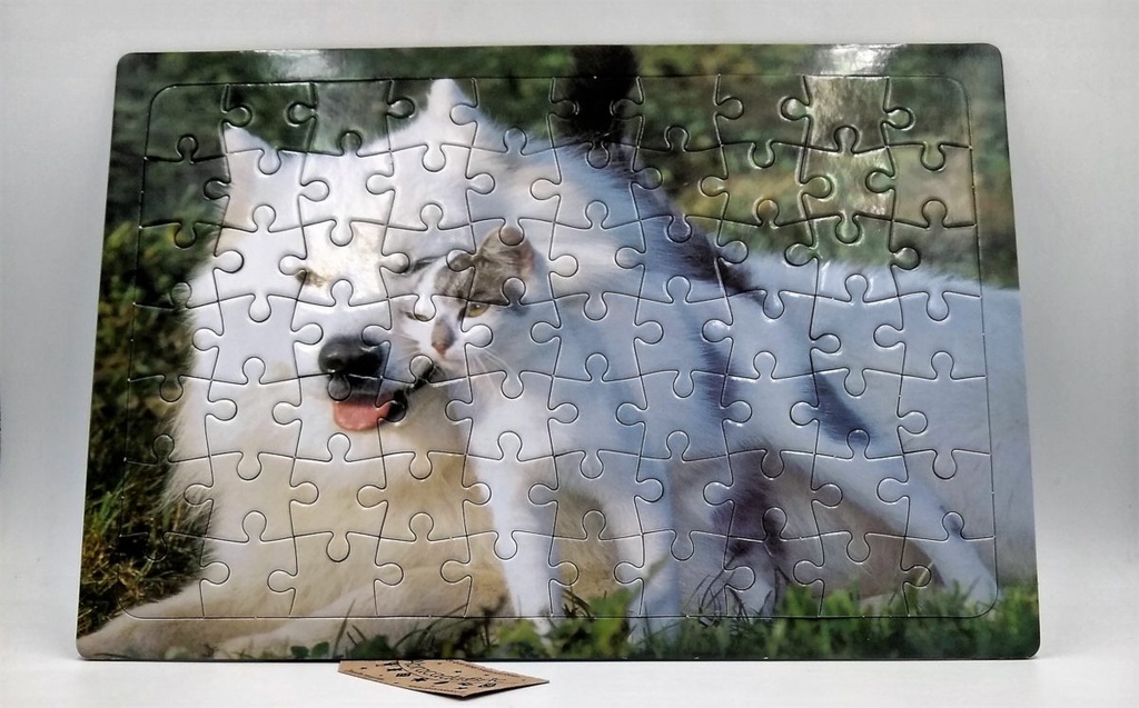 Puzzle chiens et chats 2x70p