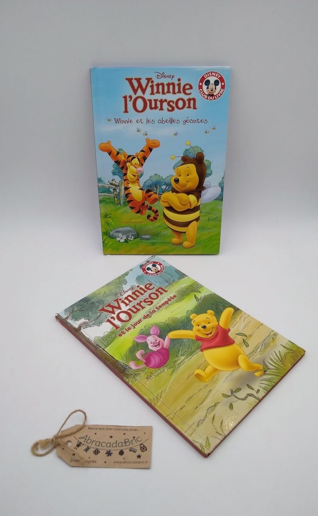 Lot x2 livres "Winnie l'Ourson et les abeilles géantes" et "le jour de la tempête" - HACHETTE