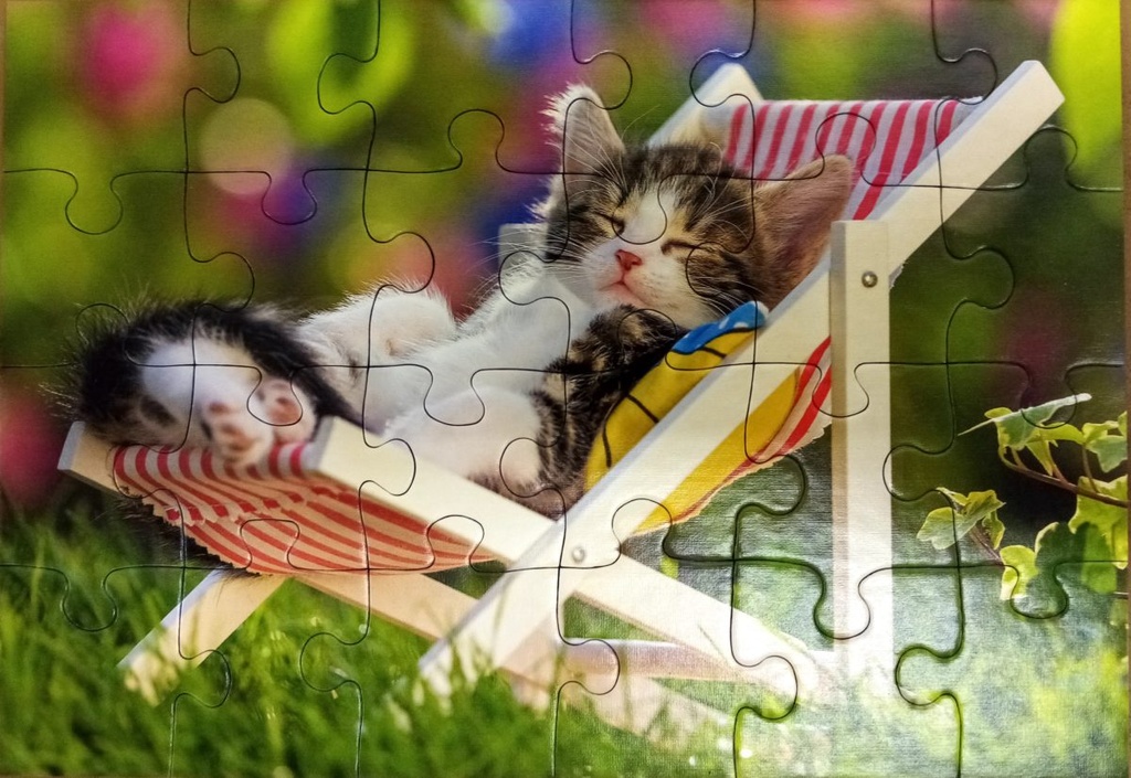 Puzzle chatons 2x24p - RAVENSBURGER