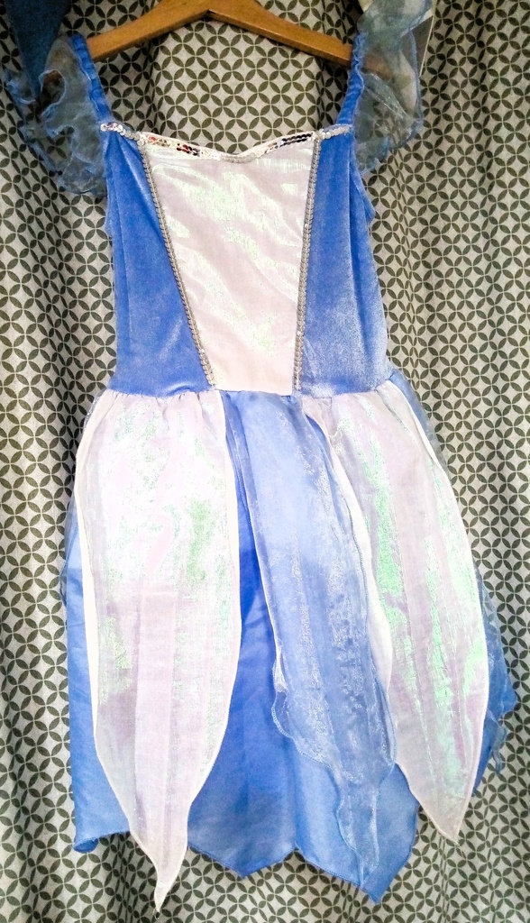 Robe de princesse bleu & blanche 6 ans 