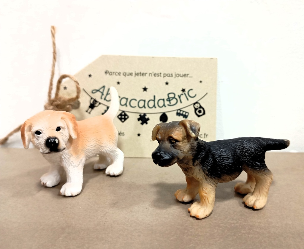 Lot x chiots Golden Retriever et berger - SCHLEiCH