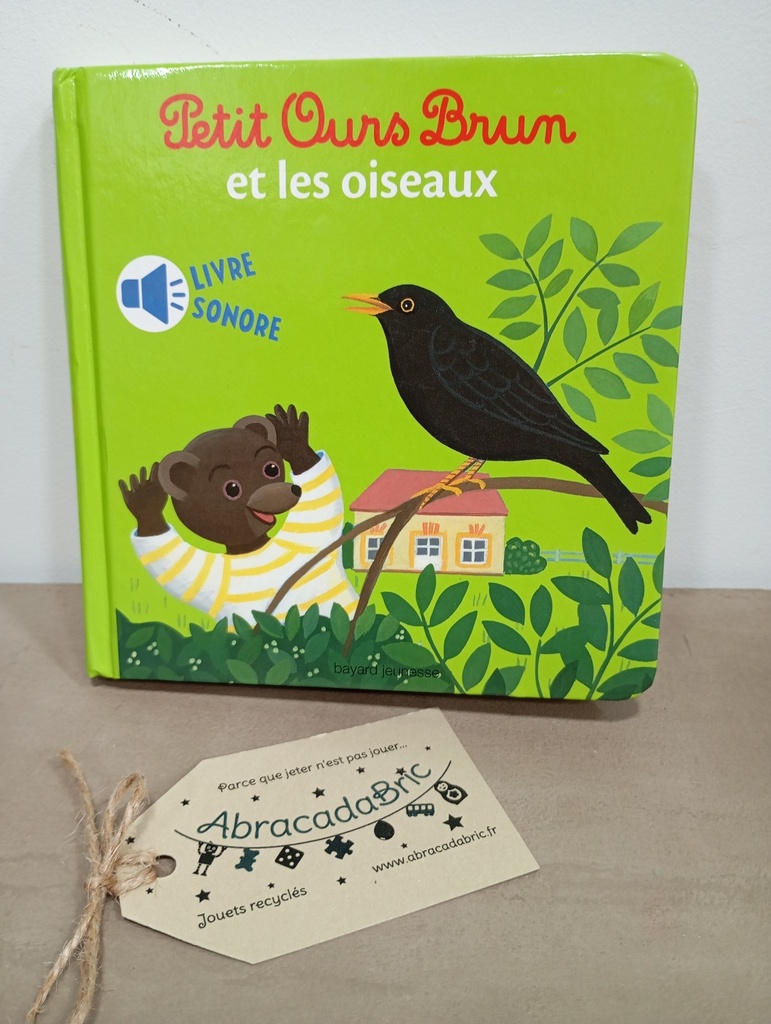 Petit Ours Brun et les oiseaux - BAYARD