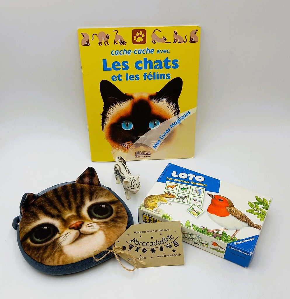 BOX surprise "chat" 