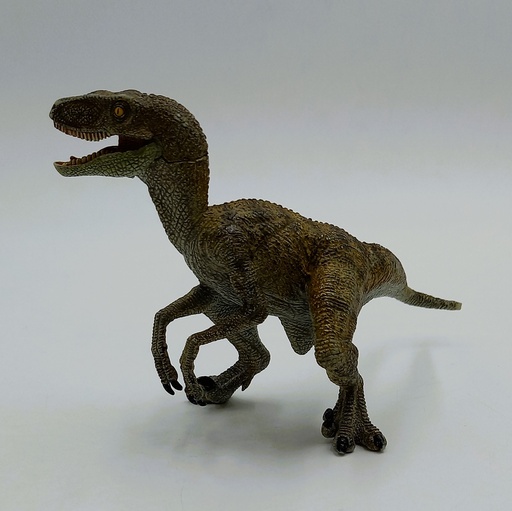 Dinosaure Vélociraptor 16 cm - PAPO