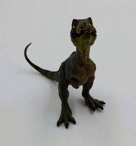 Dinosaure Bébé Tyrannosaure 15cm - PAPO